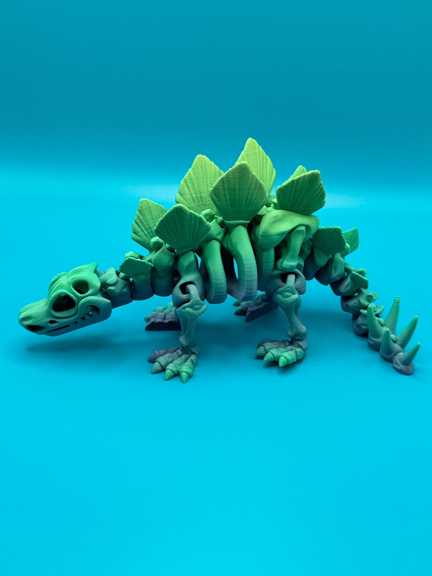 Stegosaurus