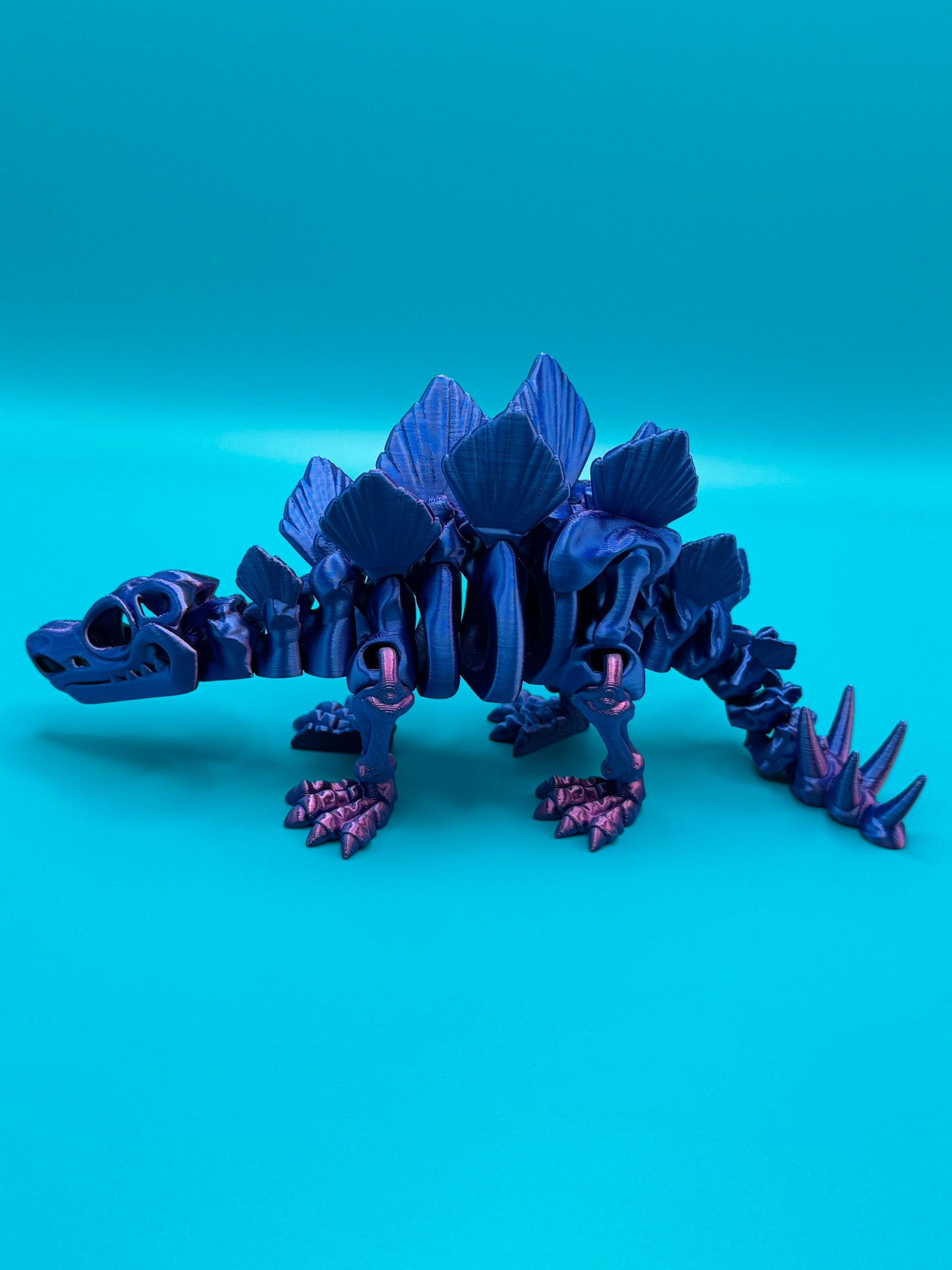 Stegosaurus
